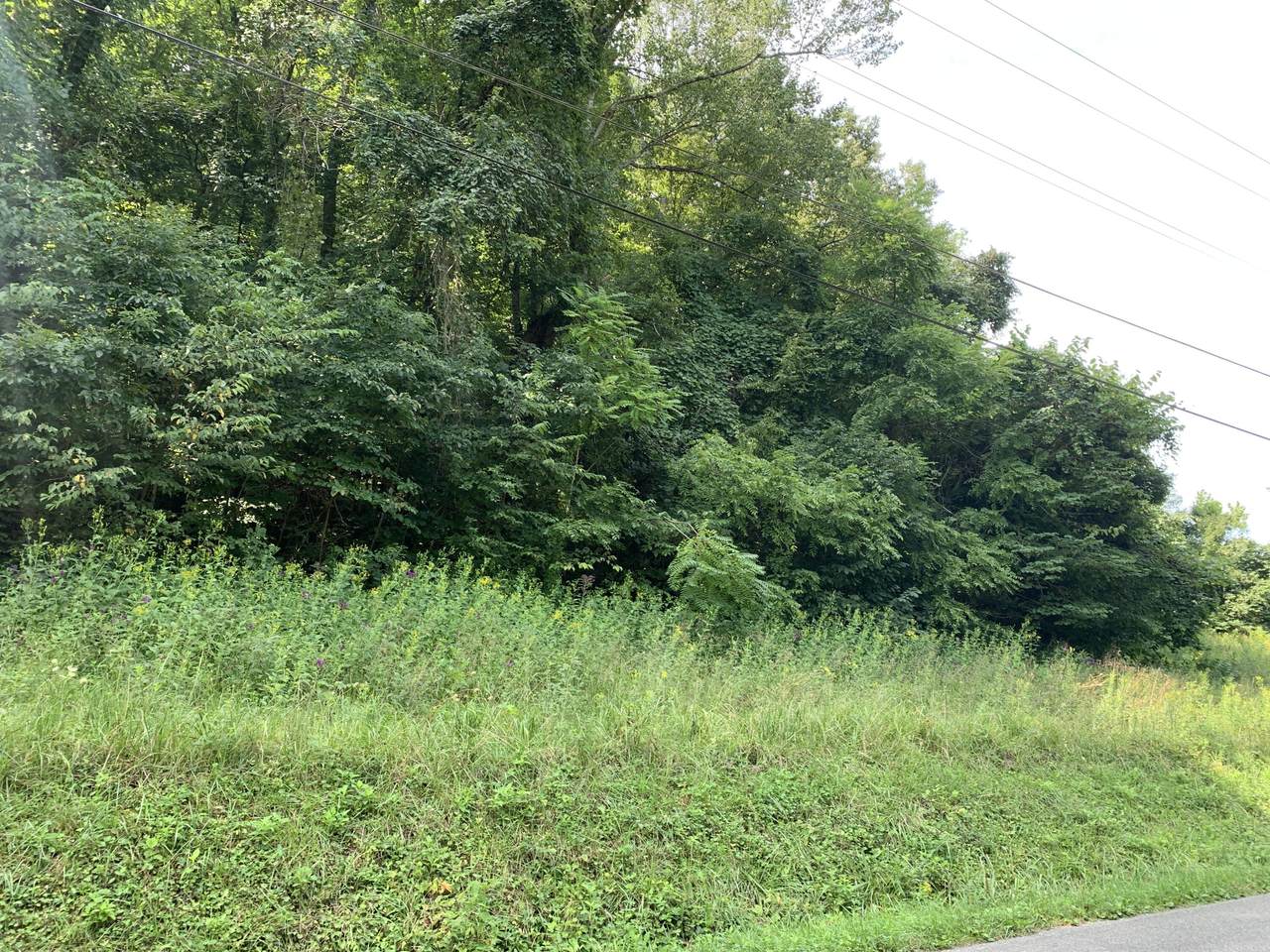 LT3 Mcgaha Hollow Rd - Photo 1