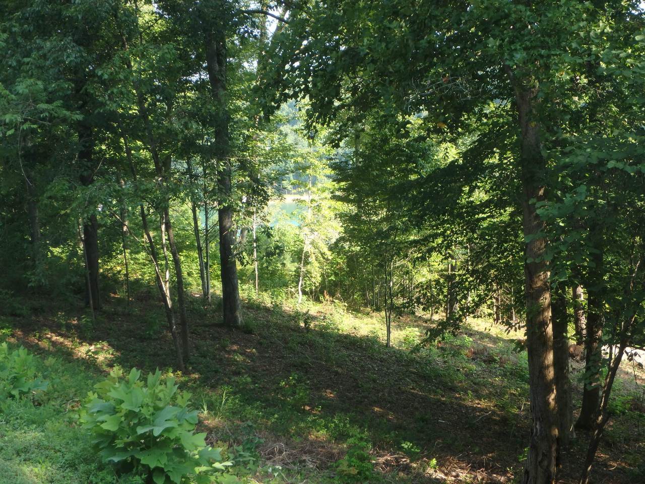 L 220-221 Suncrest Cove - Photo 1