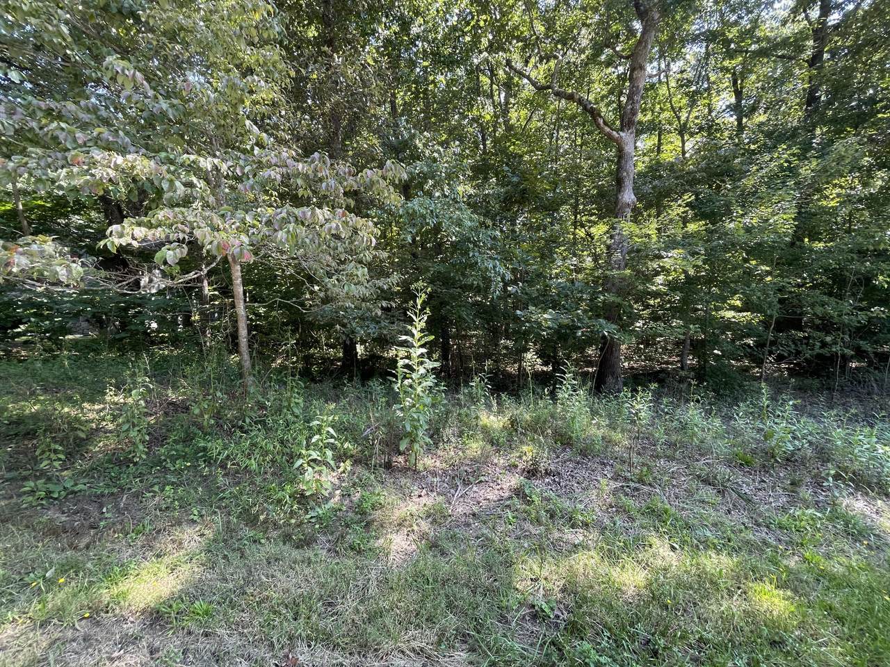 112 Lakeside Drive - Photo 1