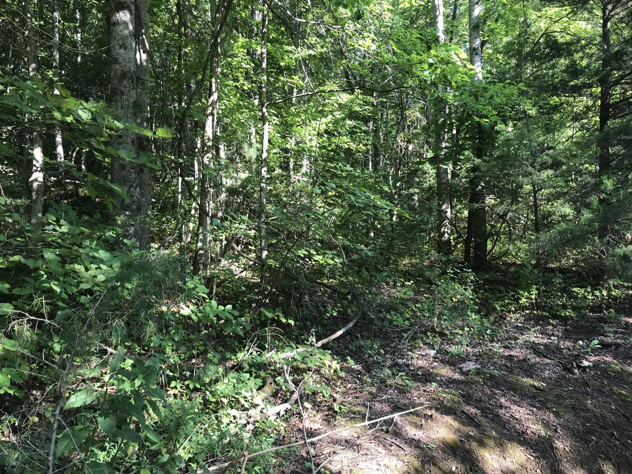 1 Mt. Pleasant Rd - Photo 1