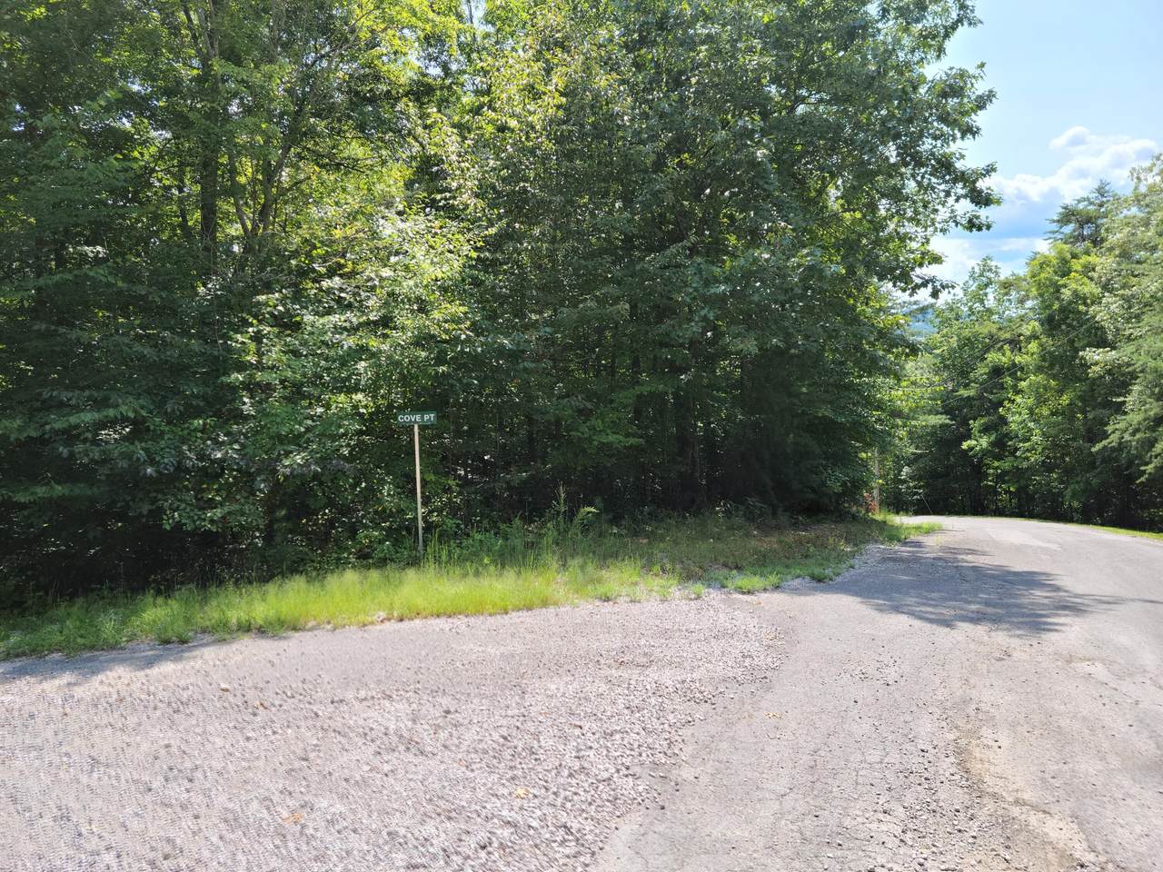 Lot 126 &127 Cove Point - Photo 1
