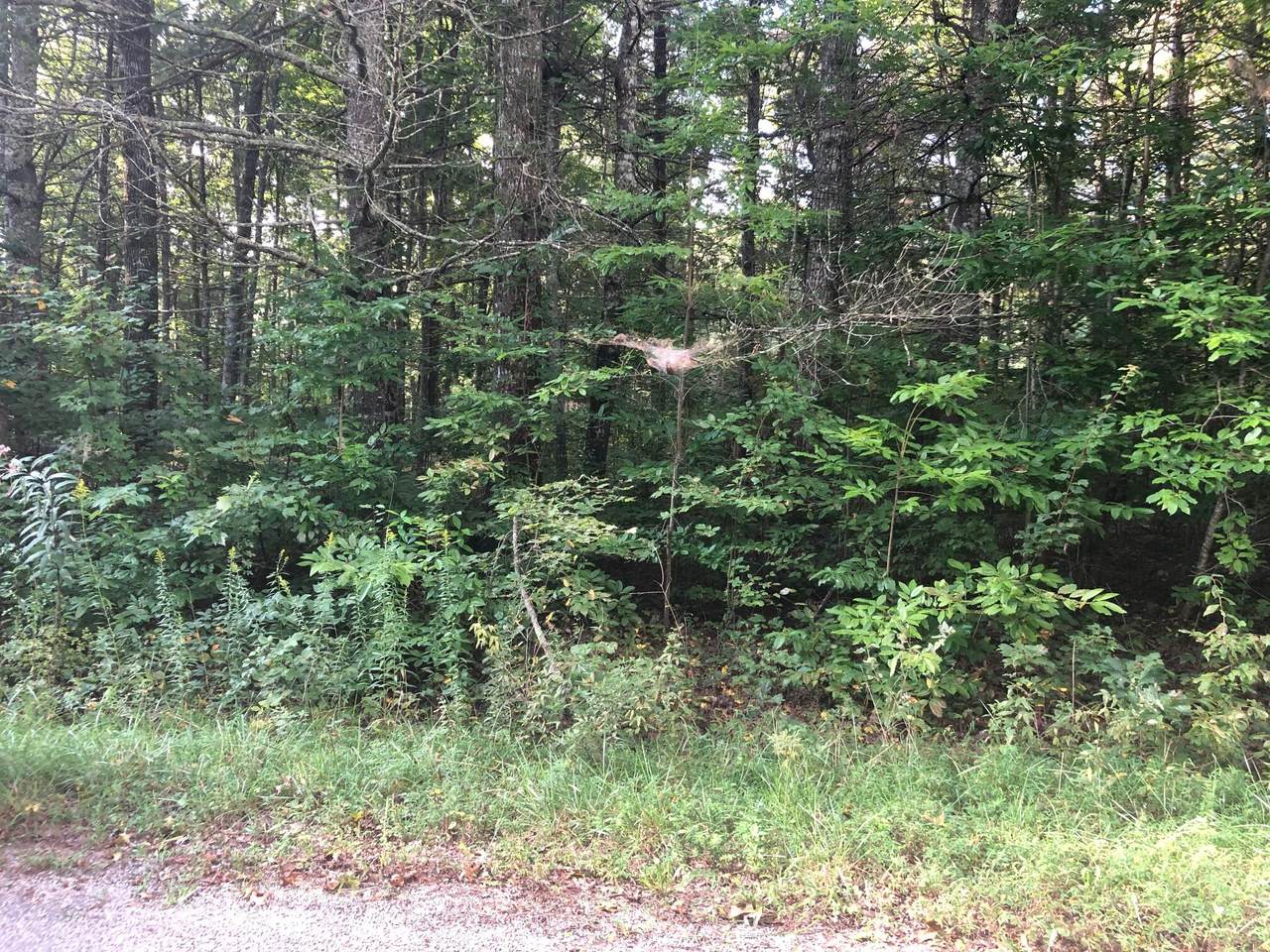 1038 Tekesta - Photo 1