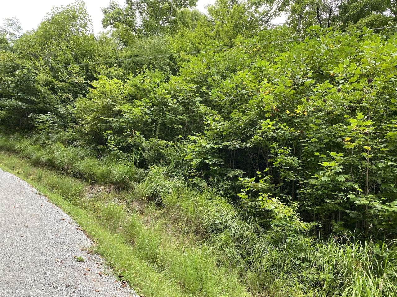 Dillon Lane - Photo 1