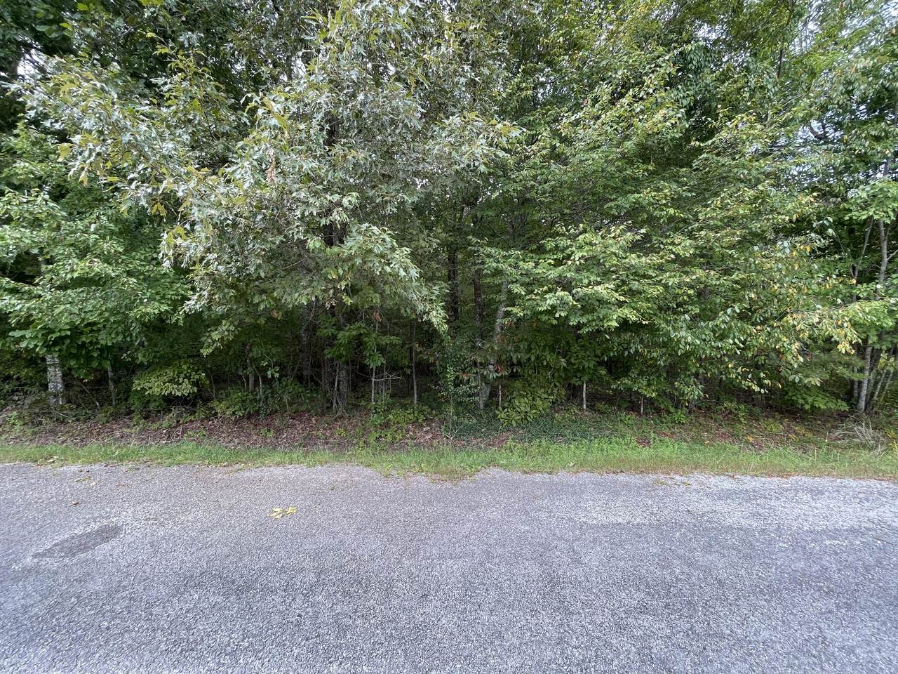113 Knollwood Lane - Photo 1