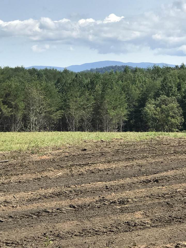 541 & 557 Curtis Rd. - Photo 1