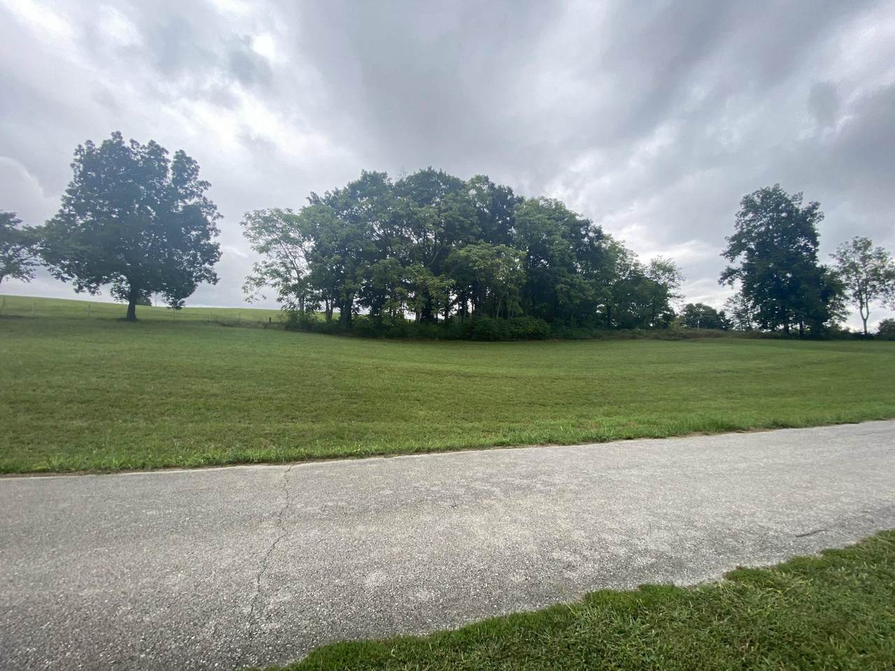 1401 Black Rd - Photo 1