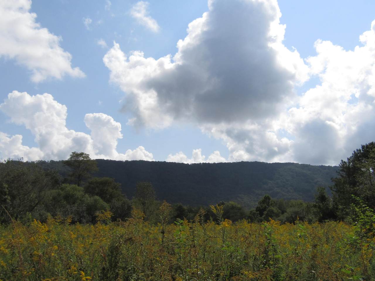 253.33 ac Millcreek Rd - Photo 1