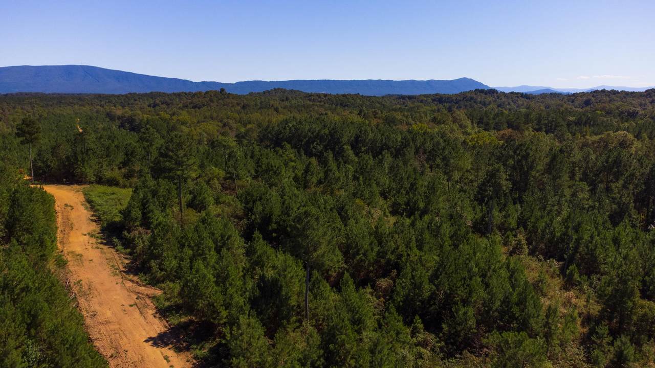 Tract 14 Athens Road - Photo 1