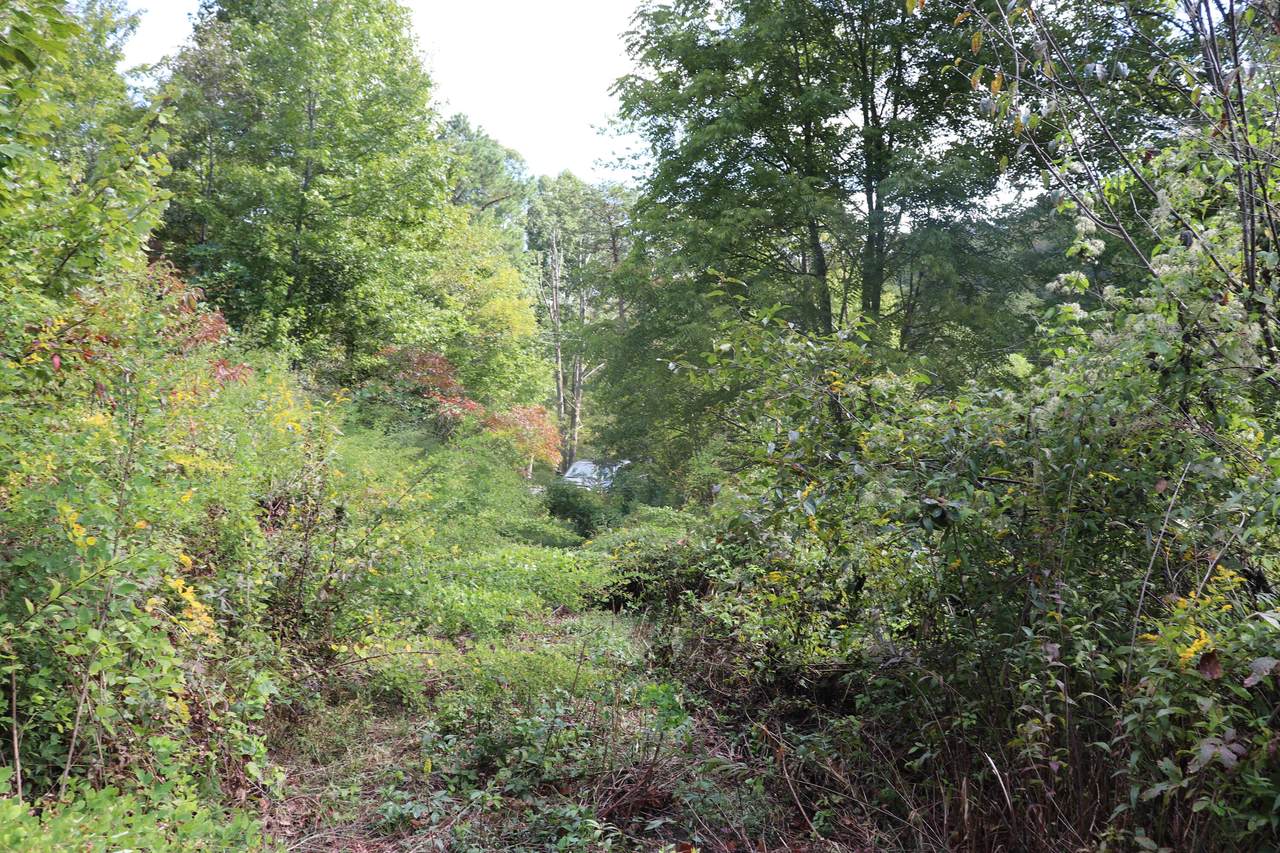 10706 Highway 68 - Photo 1