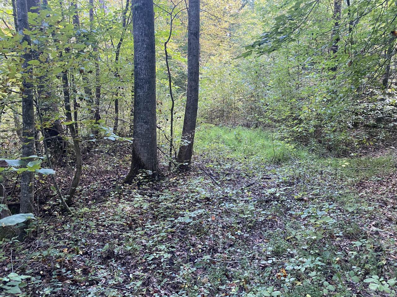 Highway 68 - Photo 1