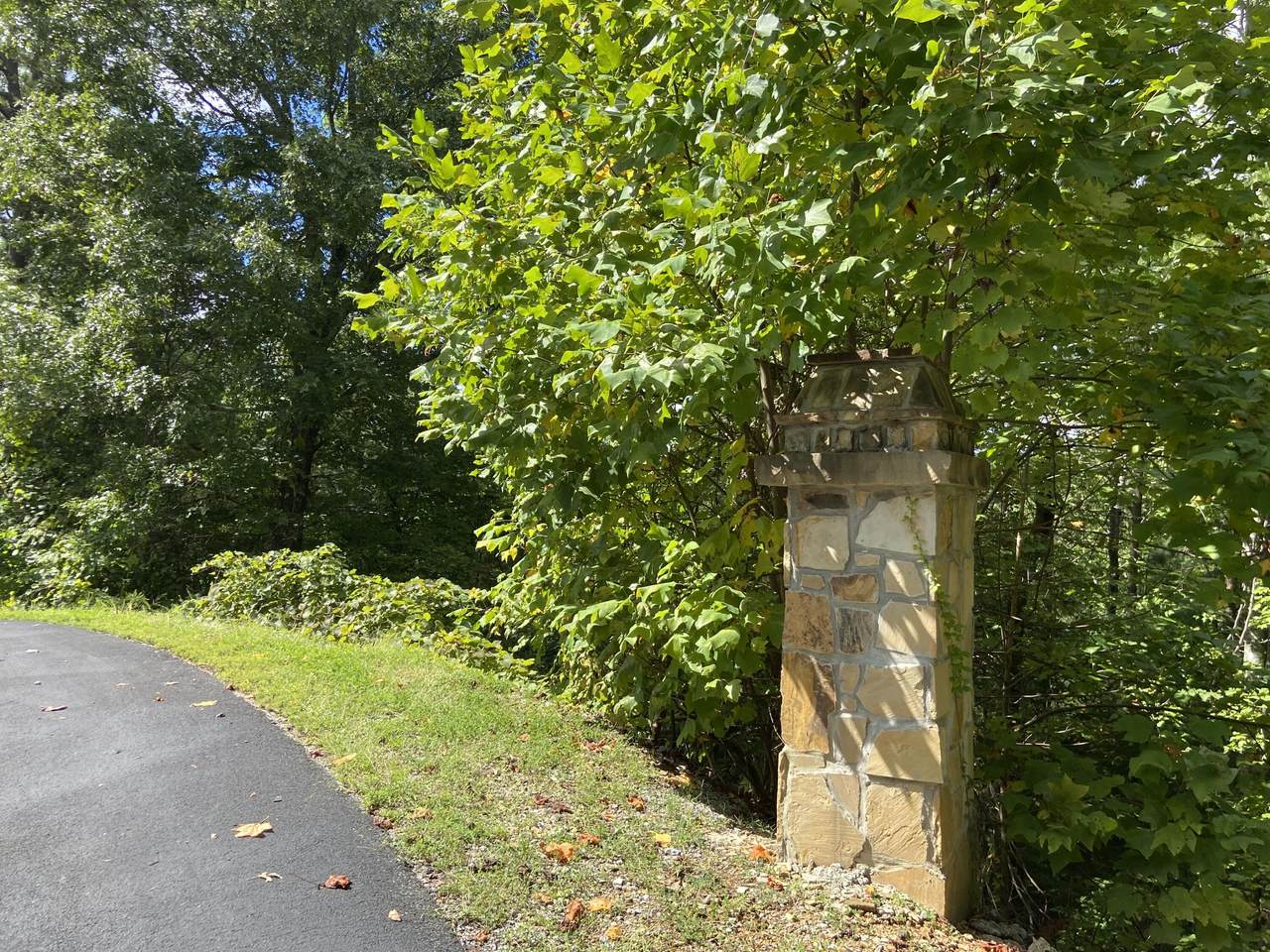 Long Rifle, Lot 119 Rd - Photo 1