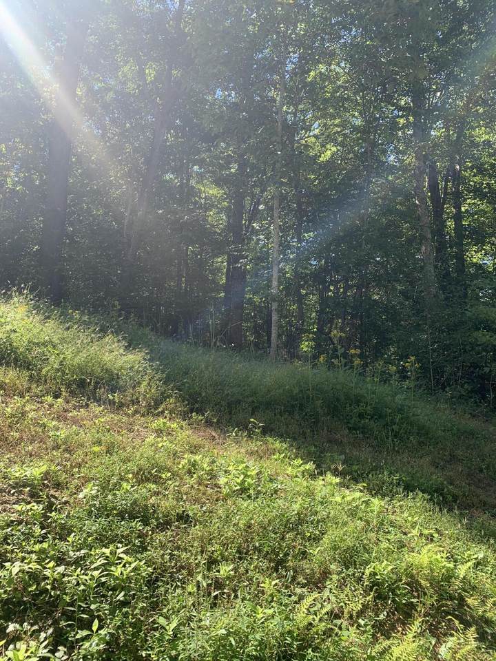 Lot 84 Lake Brook Lane - Photo 1