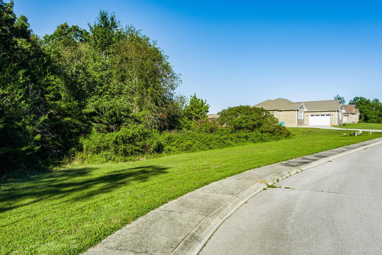 Riverview Drive - Photo 1