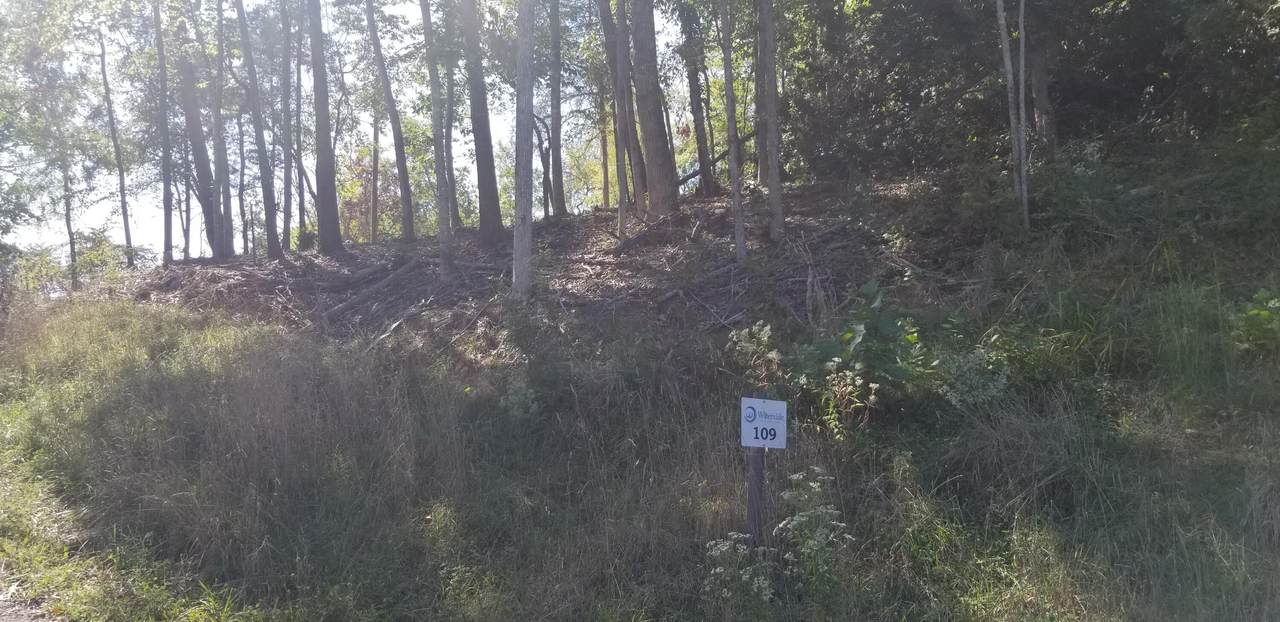 Big Cove Drive - Photo 1