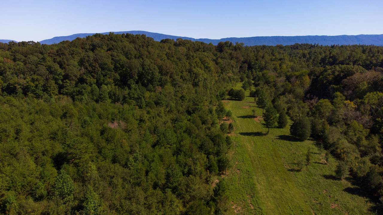 Tract 37 Pinhook Road - Photo 1