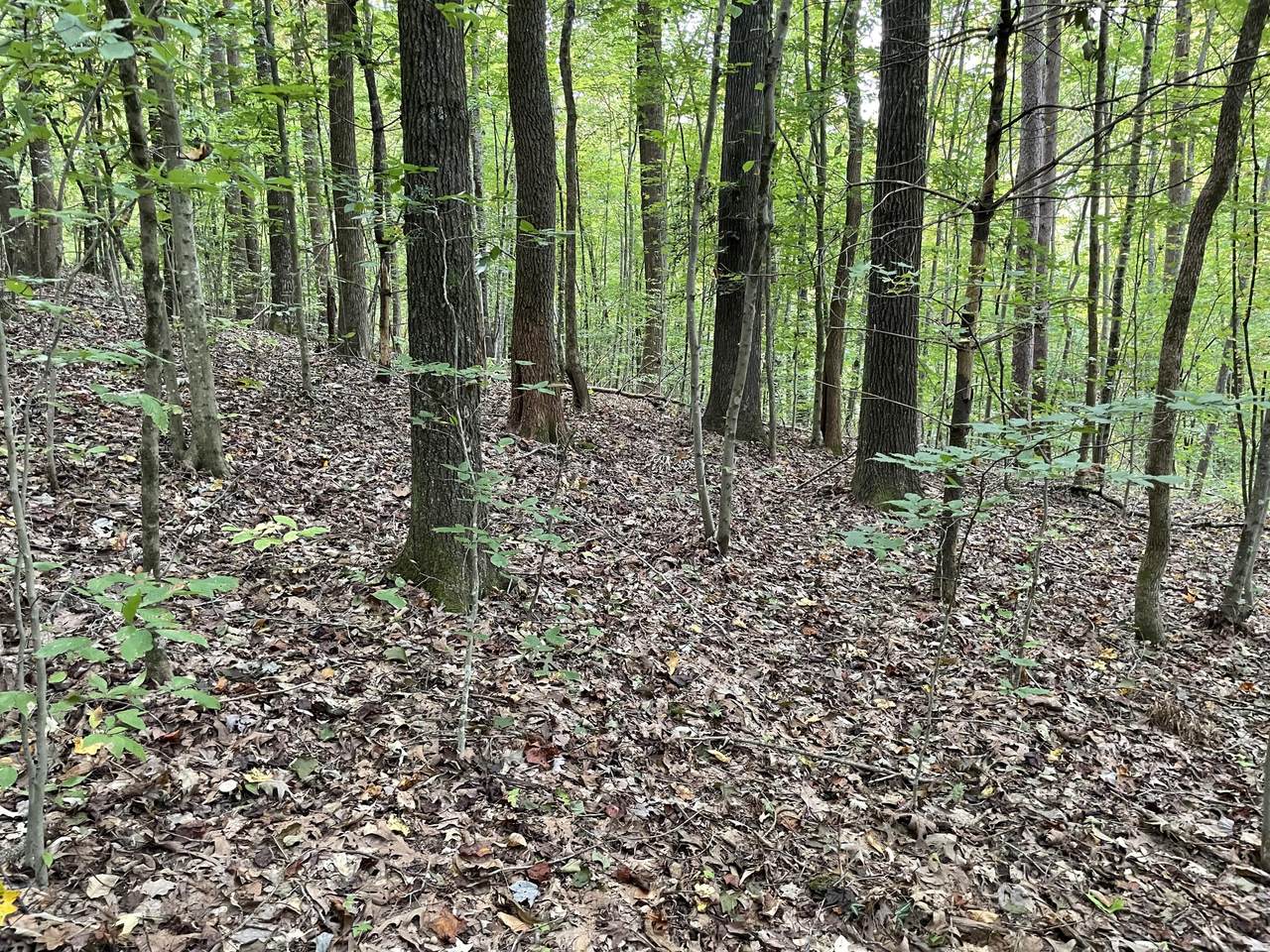 Lake View Drive Lot 16 - Photo 1