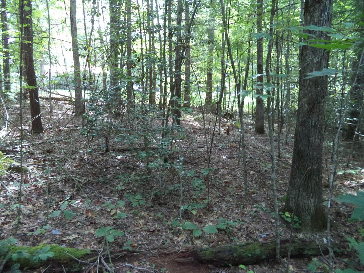 Lot # 13 Elk Creek Tr - Photo 1