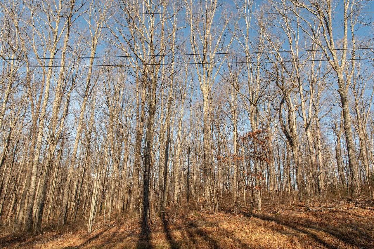 3.96 AC Davidson Drive - Photo 1