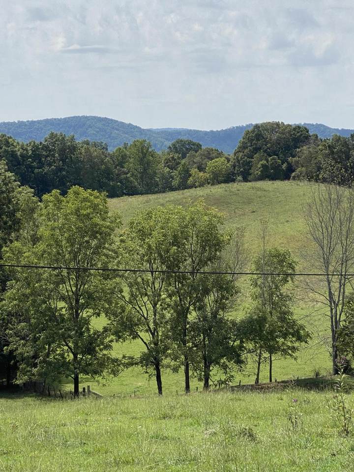 902 Montgomery (131 Acres) Rd - Photo 1