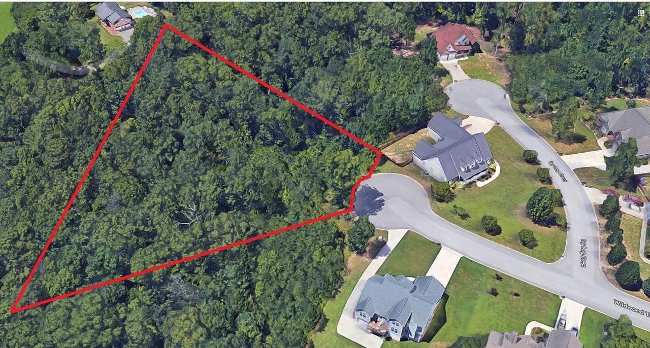 Lot 17 Wildewood Tr - Photo 1