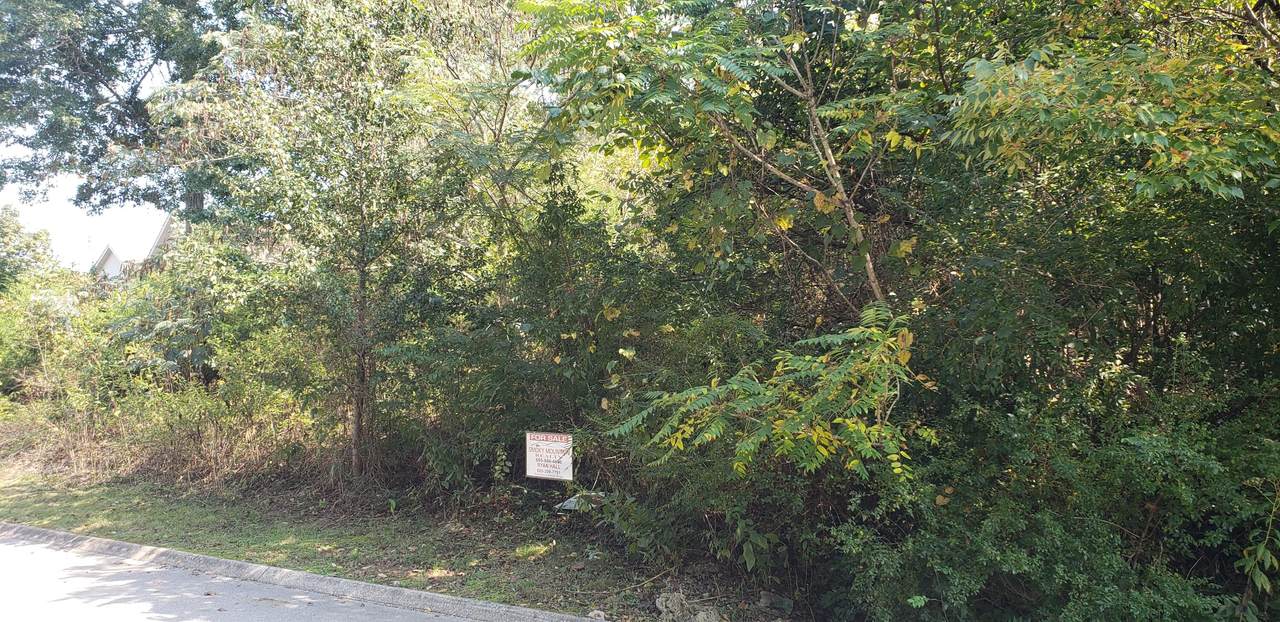 Bradford Village Way - Photo 1