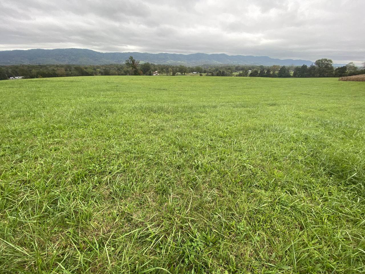 TBD Flatwoods Rd - Photo 1