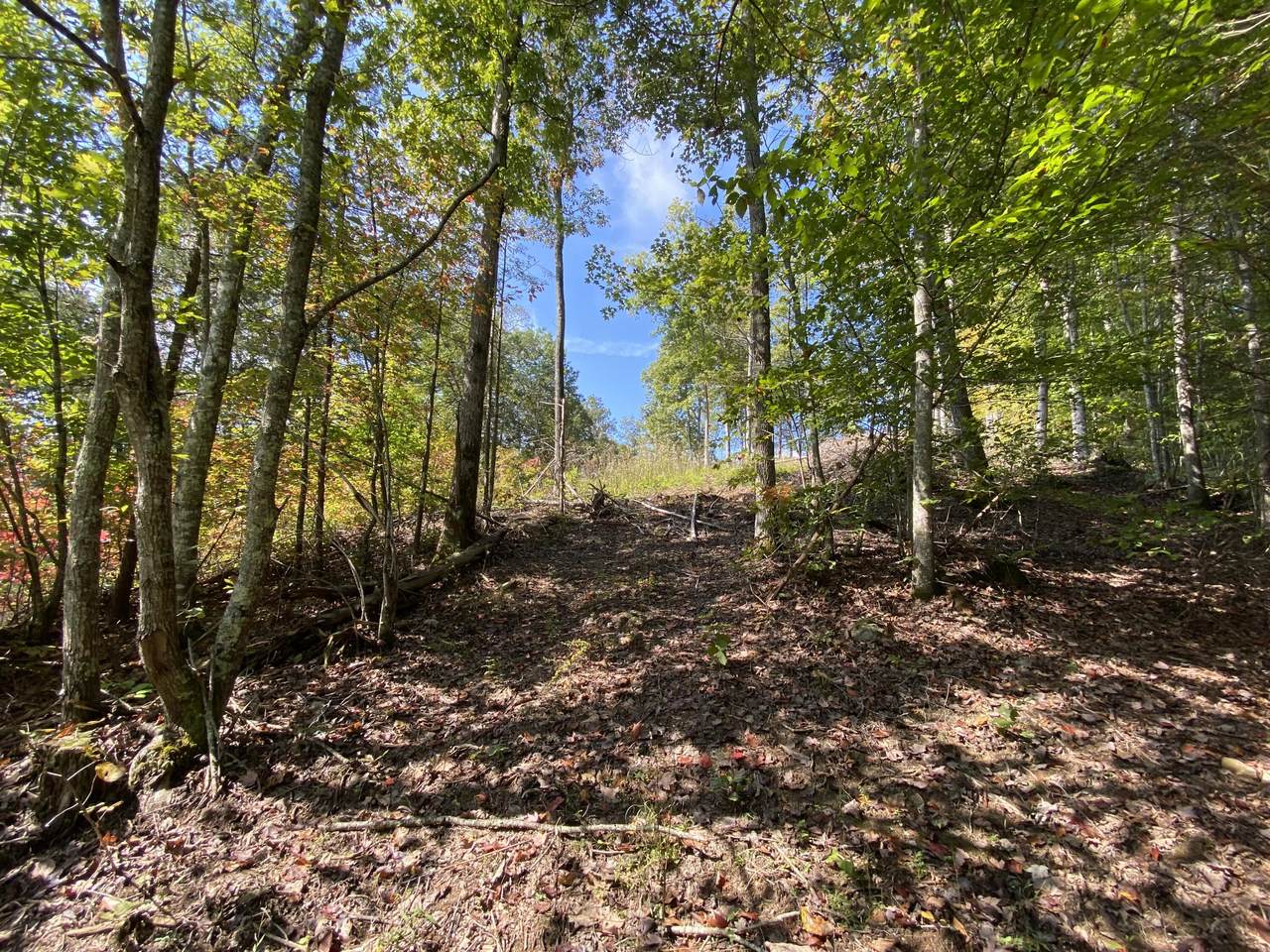 Lot # 19 Horizon Estates - Photo 1