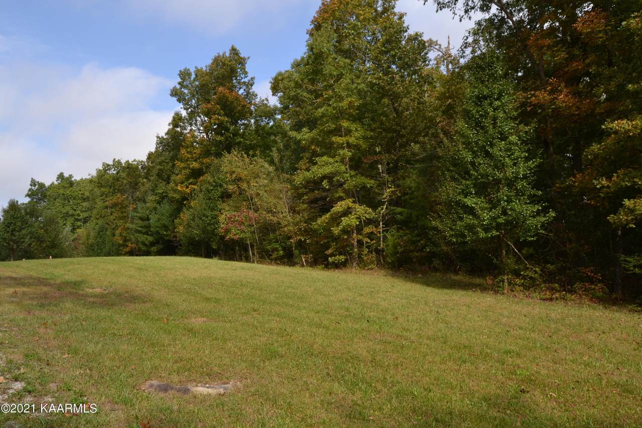 Foxfire Rd - Photo 1
