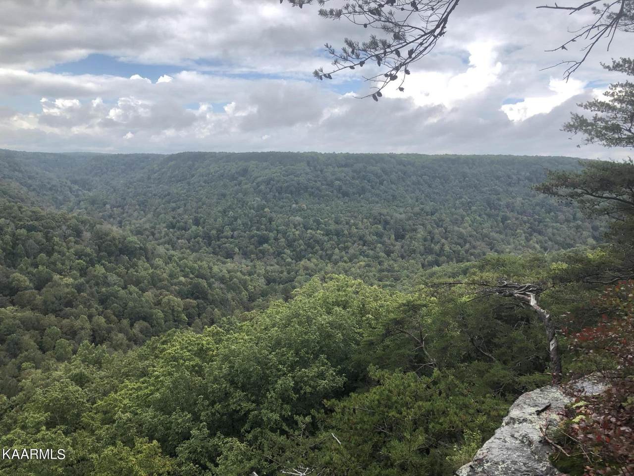 Grandview Bluff Rd - Photo 1