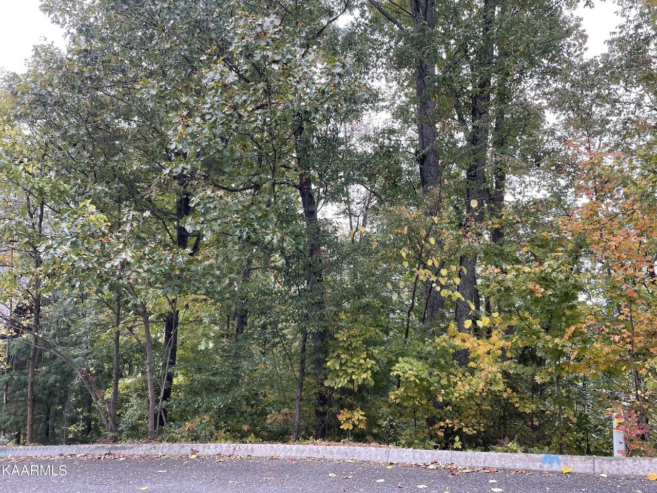 Maggie Mack Ln, Lot 6 - Photo 1