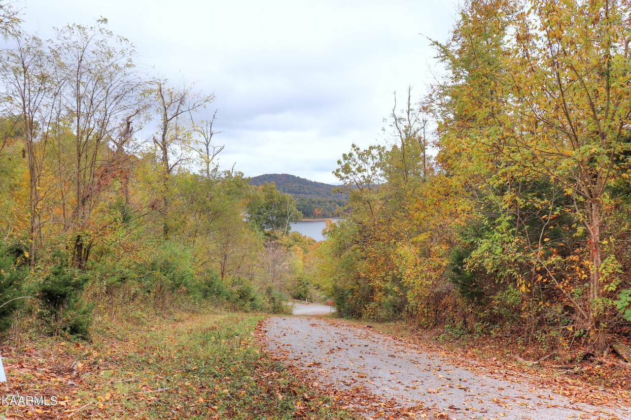 Lot 726 Merlin Lane - Photo 1
