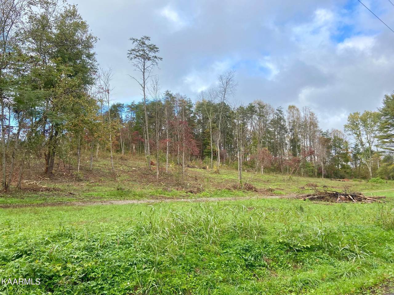 2.5 Acres Dixie Lee Highway Hwy - Photo 1
