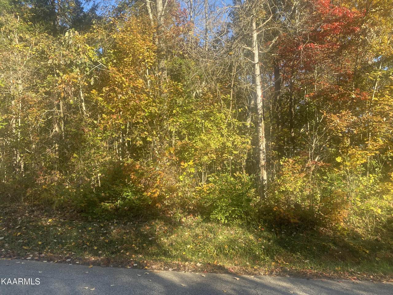 Lot 24 Scenic Hill Lane - Photo 1