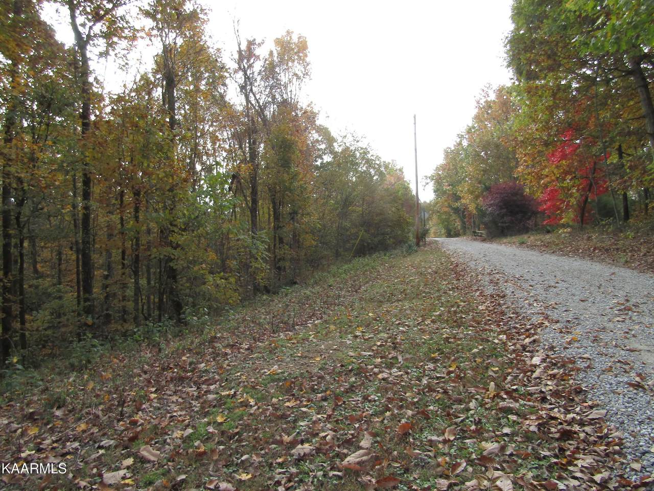 7.29 ac James White Rd - Photo 1