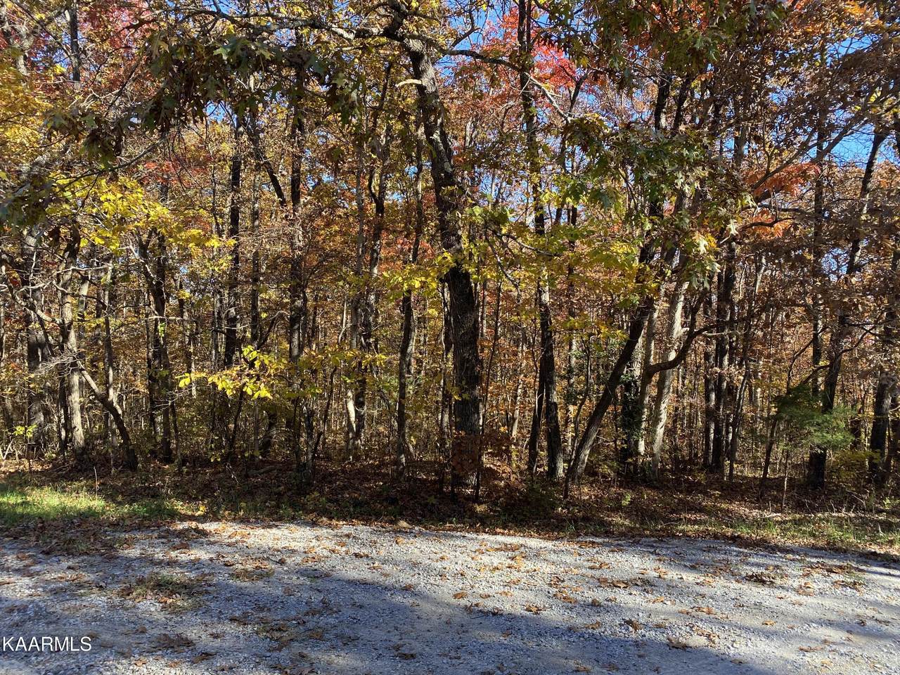 Swift Fox Rd - Photo 1