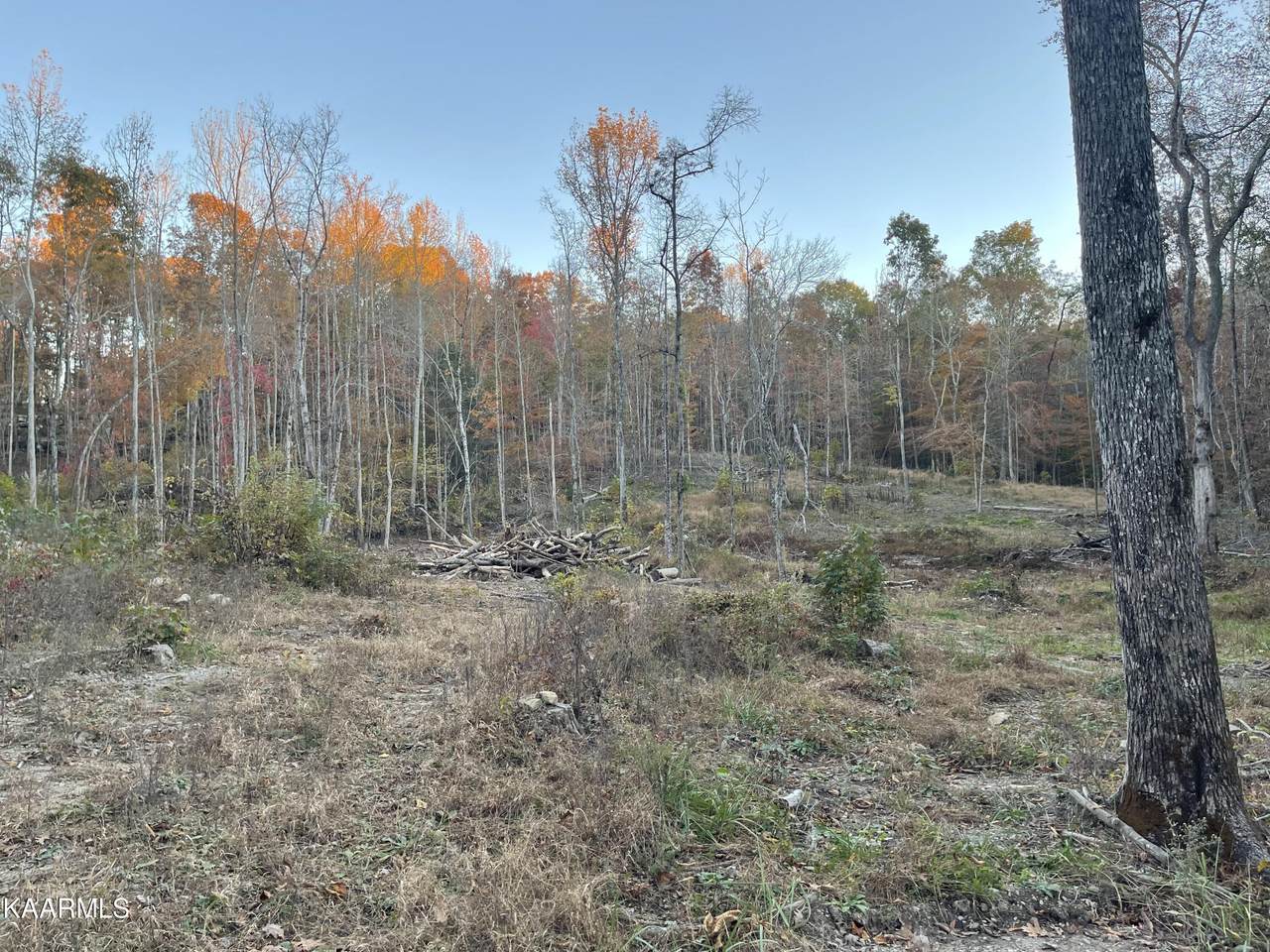 0 Crosswinds Blvd - Photo 1