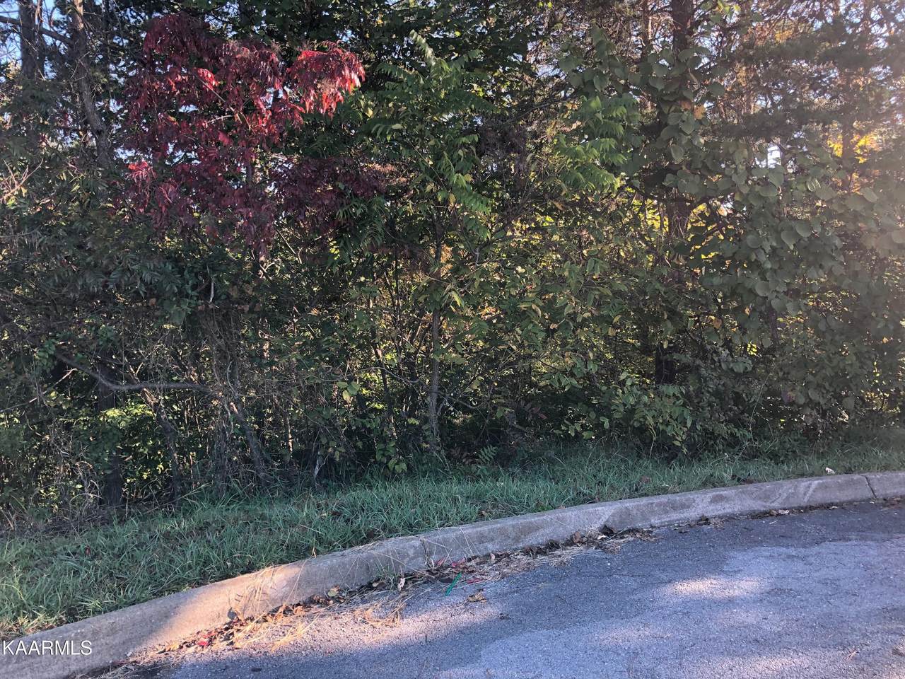 Antler Ridge - Photo 1