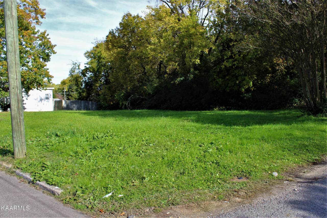 1318 Minnesota Ave - Photo 1