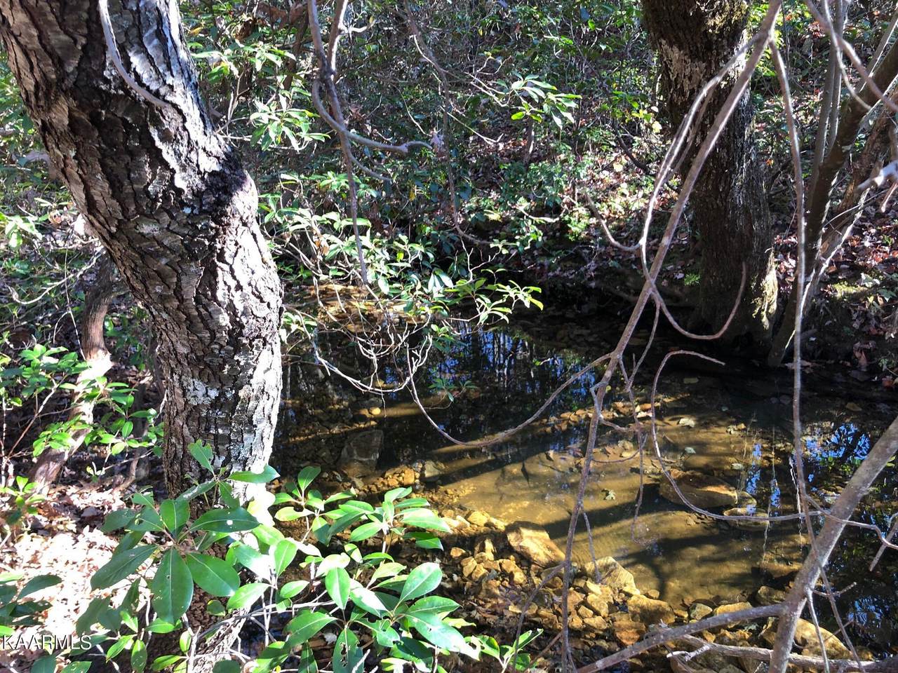 Cumberland Lakes Drive - Photo 1