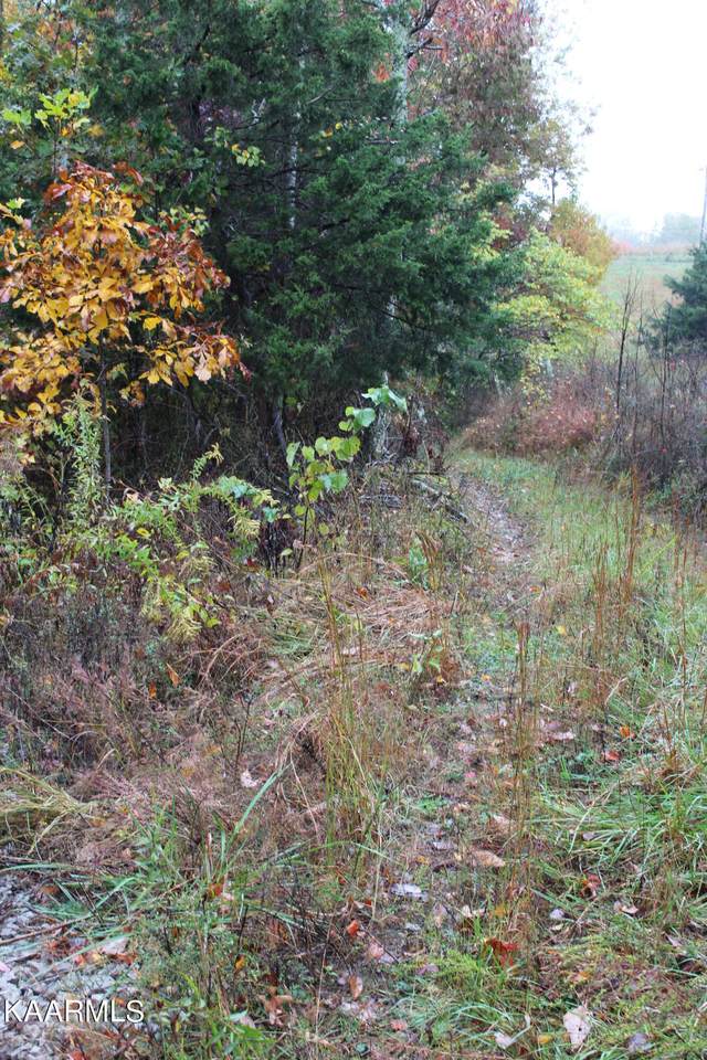 Buzzard Roost Rd - Photo 1
