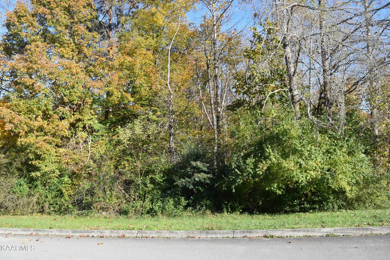 Remagen Lane - Photo 1