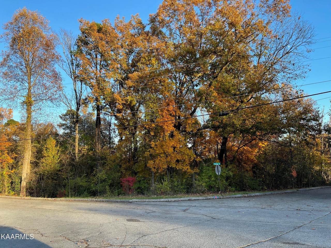 Lot 47 Hinkle - Photo 1