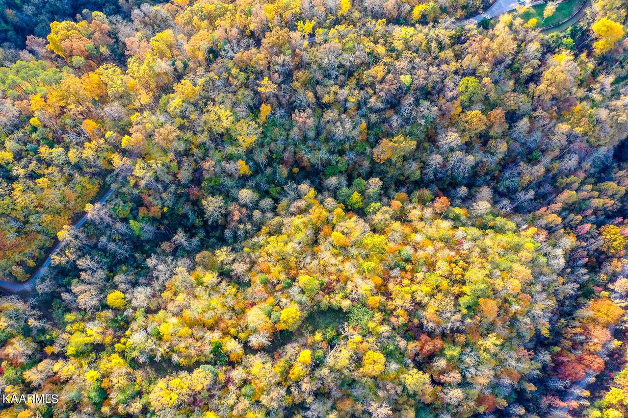 Chestnut Ridge (Lot 17) Rd - Photo 1