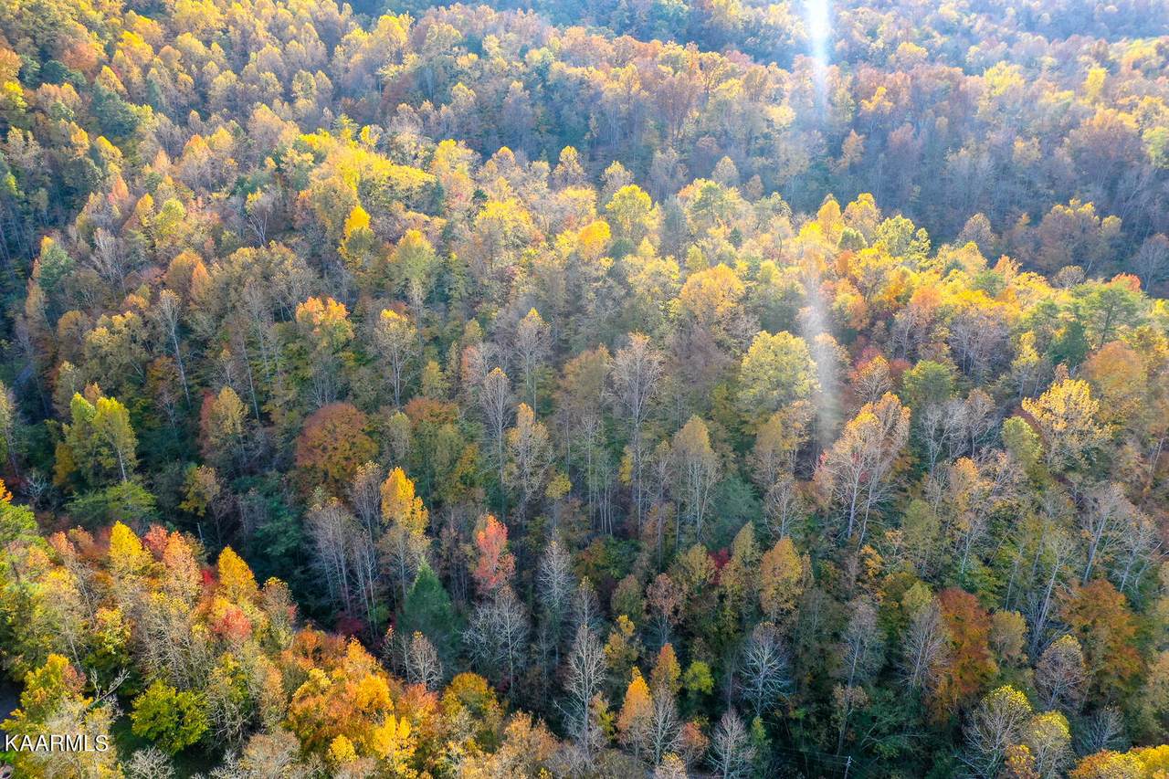 Chestnut Ridge (Lot 19) Rd - Photo 1