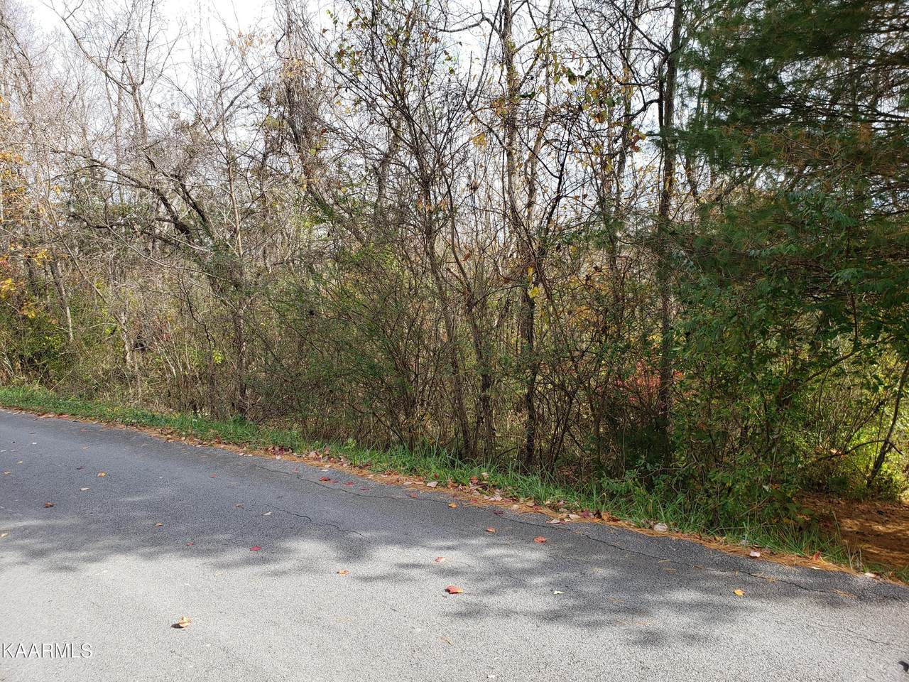Fulton Rd - Photo 1