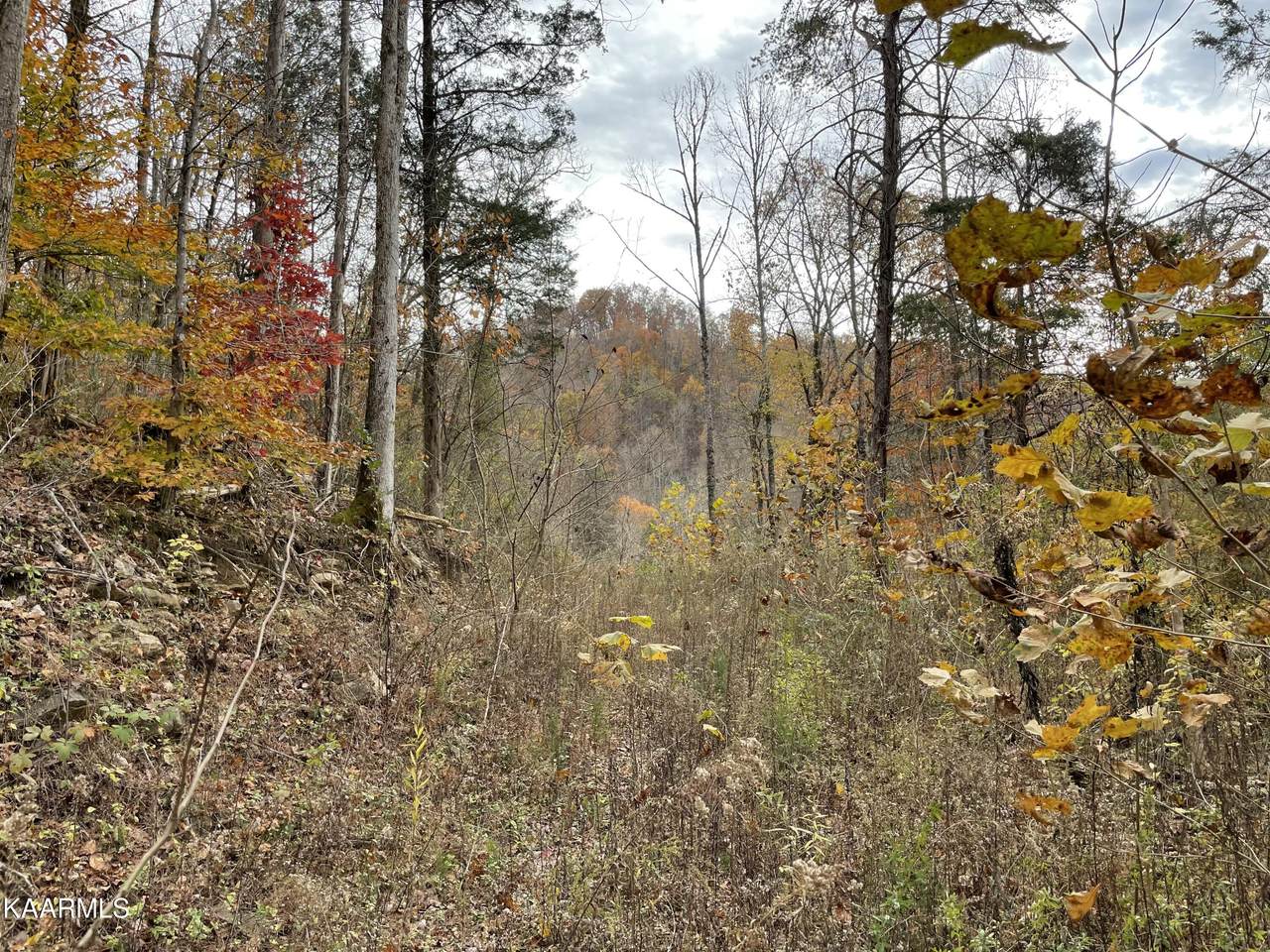 Fall Creek Rd - Photo 1