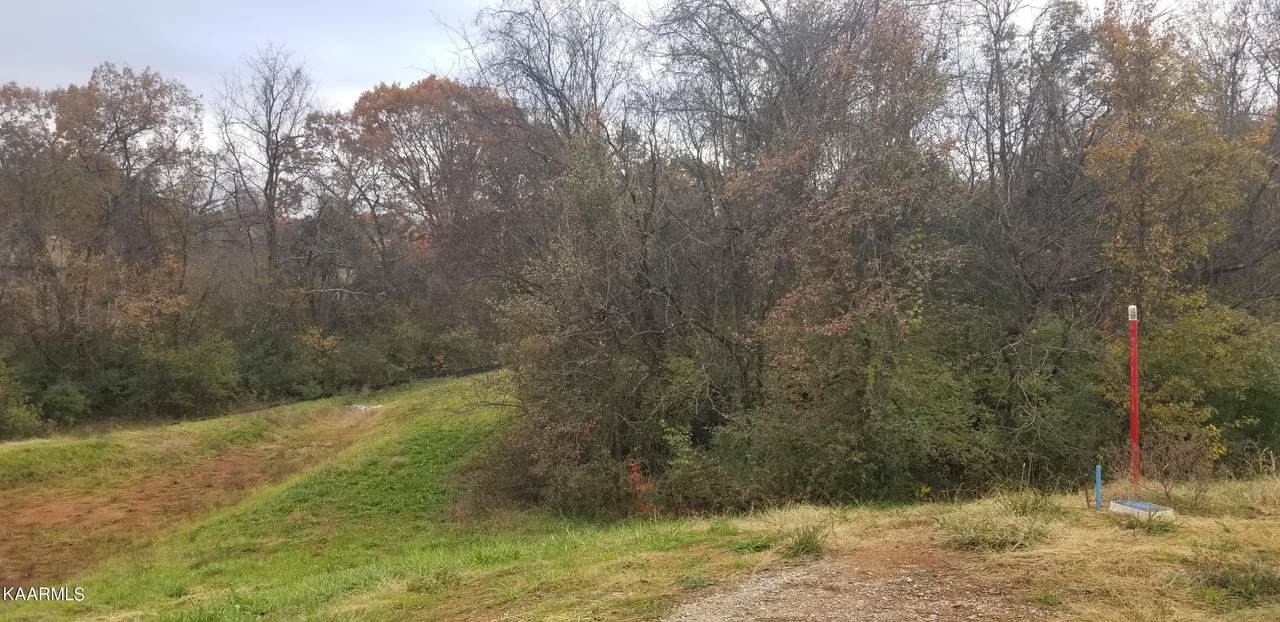 Lot 5 Fence Post Lane - Photo 1