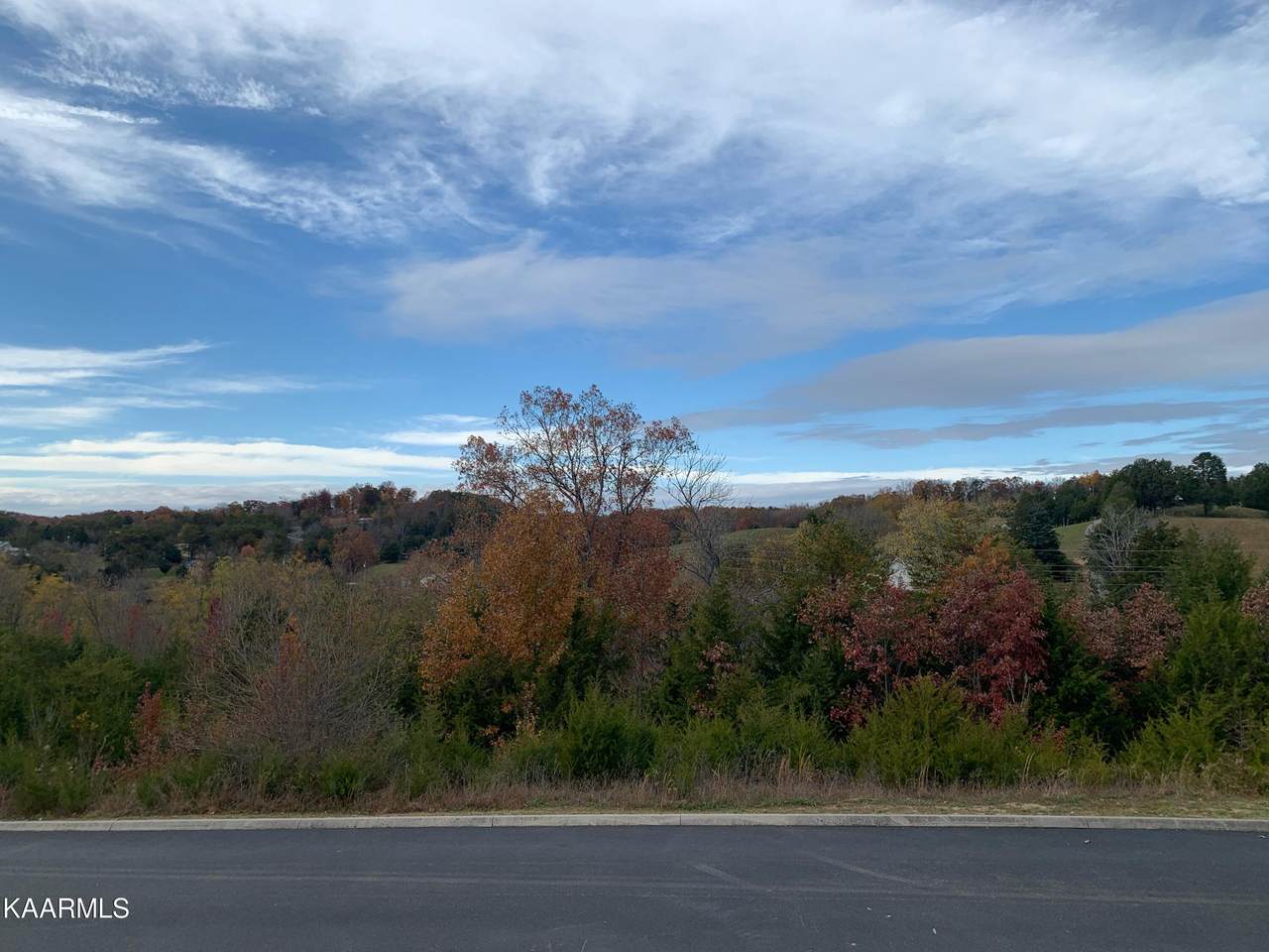 Lot 82 Blue Herring Way - Photo 1