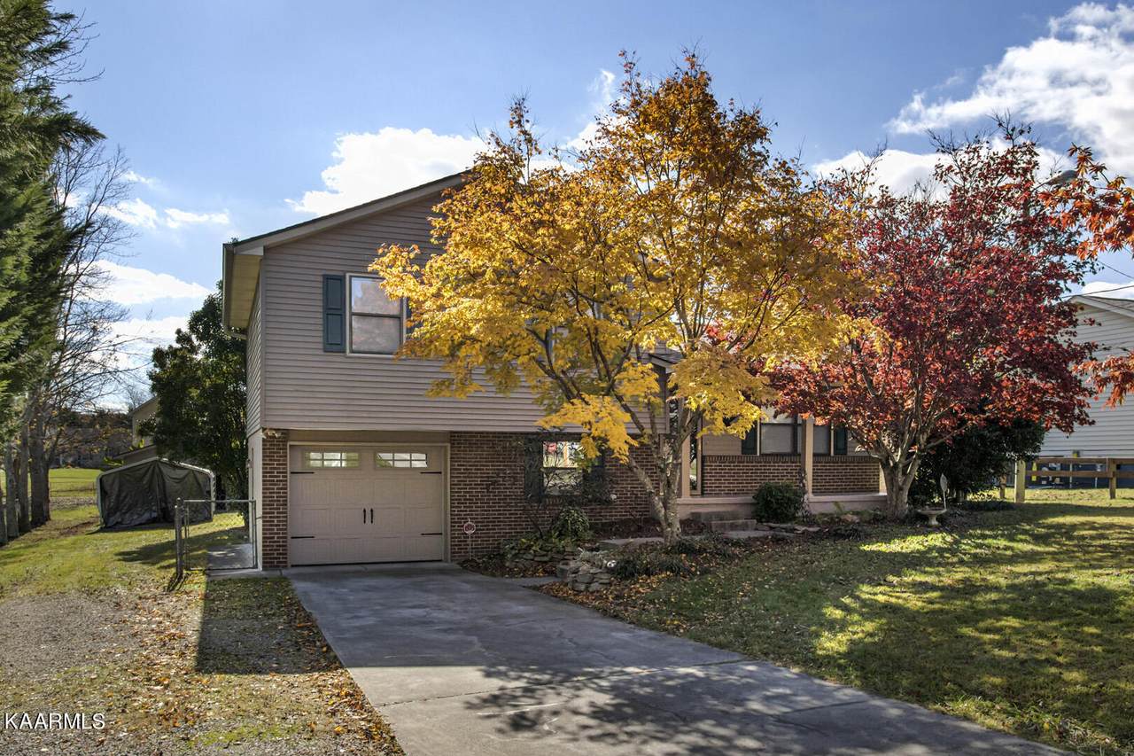8667 Tervada Drive - Photo 1