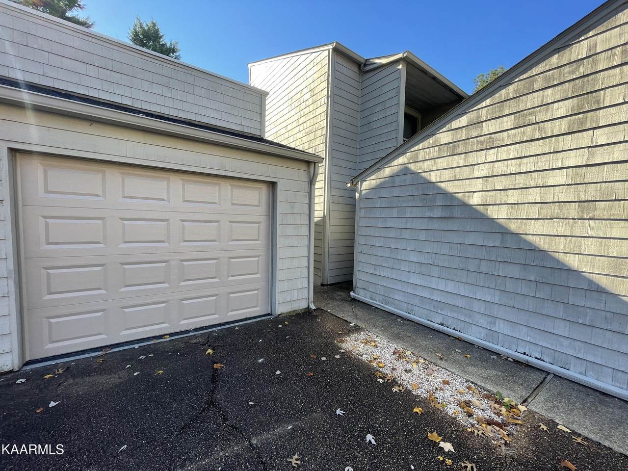 562 Lost Tree Lane - Photo 1